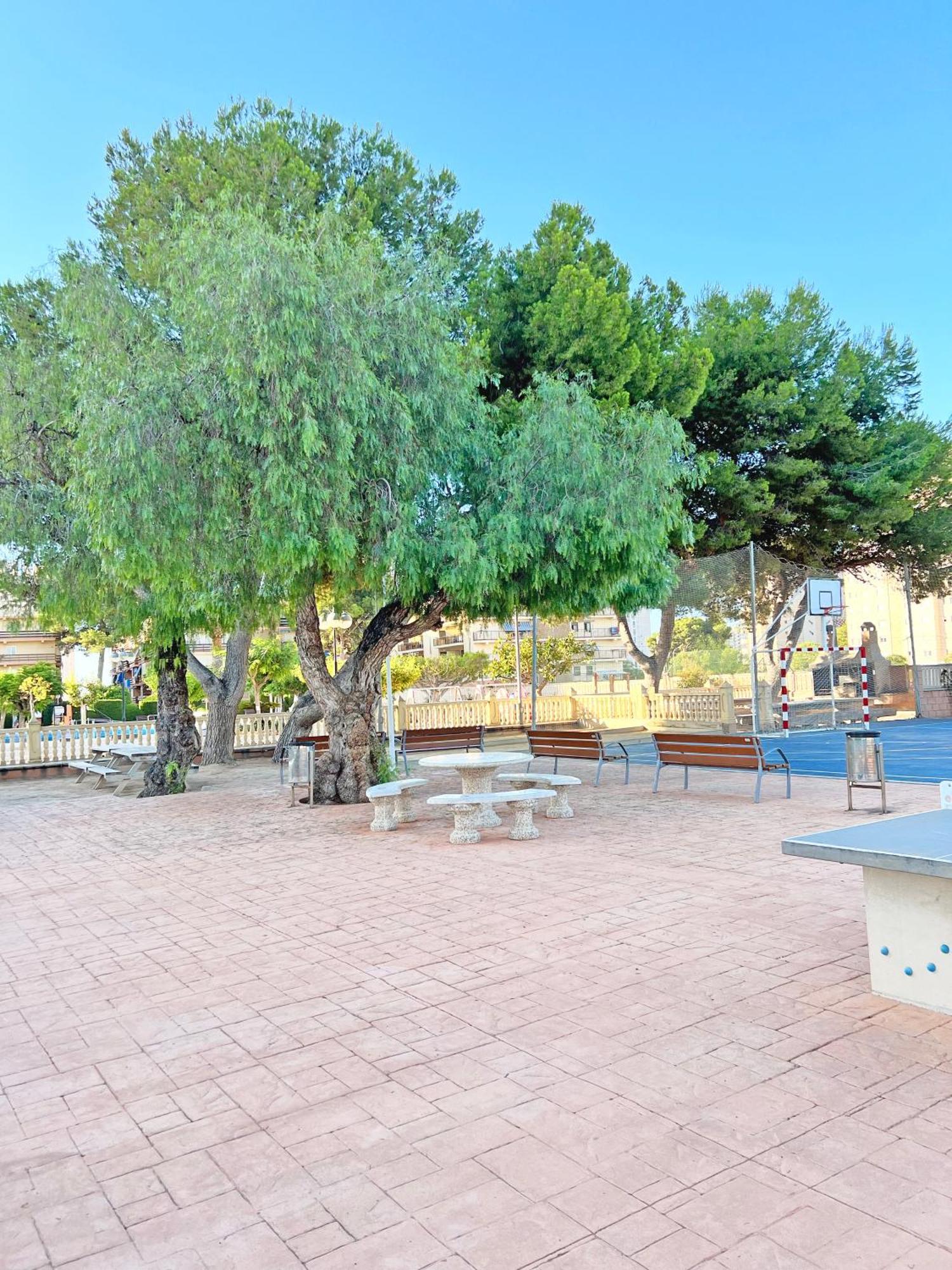 엘 캄펠로 Coqueto Con Piscina, Nuevo A 50M Del Mar, Parking Gratis 아파트 외부 사진