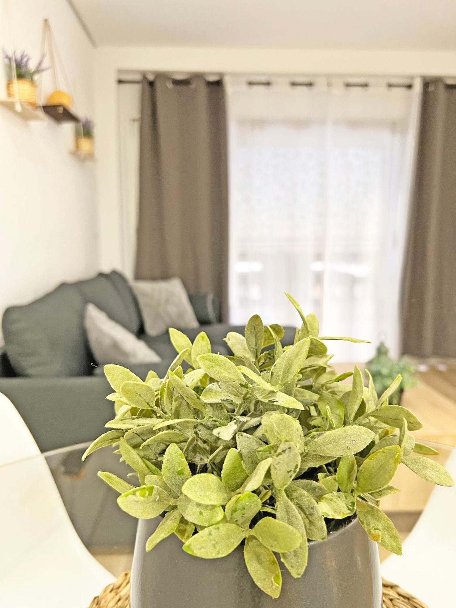 엘 캄펠로 Coqueto Con Piscina, Nuevo A 50M Del Mar, Parking Gratis 아파트 외부 사진